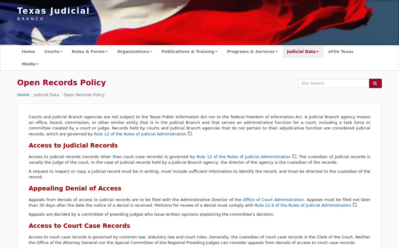 Irion County warrant check: Texas judicial records access policy