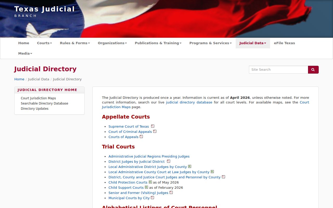 Irion County warrant records and the Texas court hierarchy